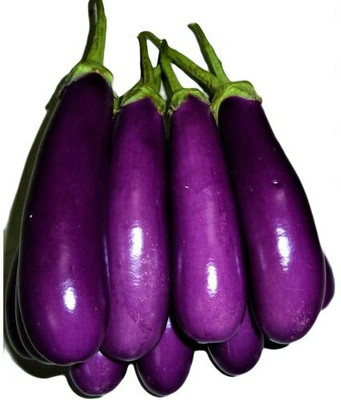 UGRA Brinjal Seed(4000 per packet)