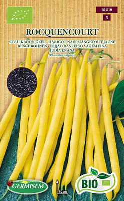 CYBEXIS Rocquencot Seed(400 per packet)