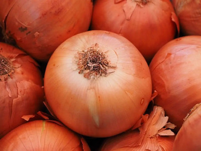 WATIKA Sweet Yellow Onion Seed(2000 per packet)