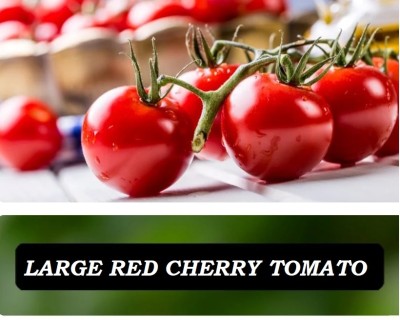 Quentova Red Cherry Tomato 2.5gm Seeds Seed(1000 per packet)