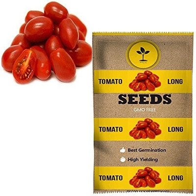 WILLVINE Hybrid Ruby High Yield Tomato [25g, 7500 Seeds] Seed(7500 per packet)