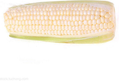 KNESSiN White Corn Seed(200 per packet)