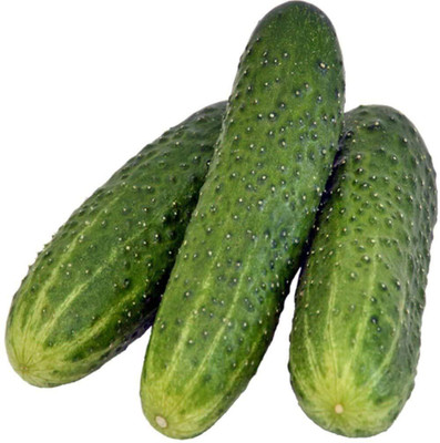 Qualtivate XXX-5A Vegetable Heirloom Cucumber Seed(300 per packet)