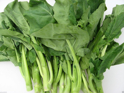 WILLVINE SYN -XII Chinese Broccoli Seeds,Kai Lan [25g] Seed(7500 per packet)
