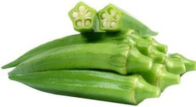 Quentova Okra Lady Finger /Green Okra Seeds-RAJ-11W Seed(150 per packet)