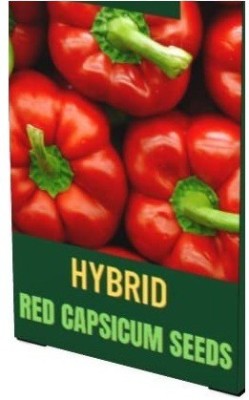 VibeX GBPUT-44 - Red Capsicum Vegetable - (150 Seeds) Seed(150 per packet)