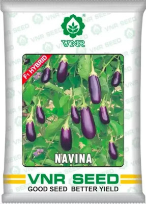 the green dotcom VNR Brinjal,HYBRID Seed (50 per packet) Seed(120 per packet)