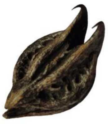 CHILLATAI Garuda Mukku / Bat Head Roots Seed(20 per packet)
