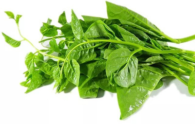 MYLAWN Spinach(Palak) Seed(400 per packet)