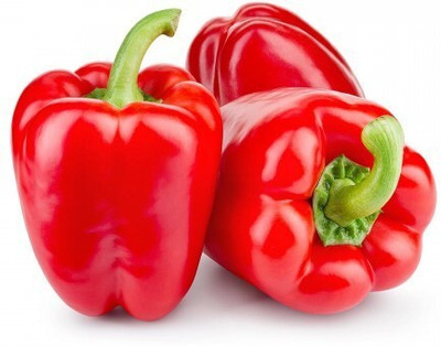 Quentova Capsicum Red (Shimla Mirch) / शिमला मिर्च लाल-5A-KTL Seed(75 per packet)