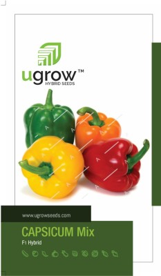 JD AGRO MIX CAPSICUM SEEDS & PLANT CARNIVAL A COLORFUL MIX FOR YOUR GARDEN Seed(45 per packet)