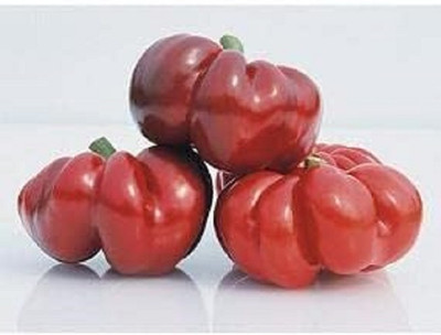 KNESSiN Heirloom Round Hungary Pepper Seeds For Planting-(2400 Seeds) Seed(2400 per packet)