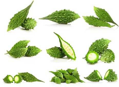 XOLDAA F1 BEST QUALITY BITTER GOURD SEEDS Seed(13 per packet)