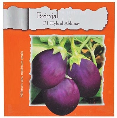 CRGO ® LXI-576-Brinjal F1 Hybrid Abhinav-VB726 Seed(150 per packet)