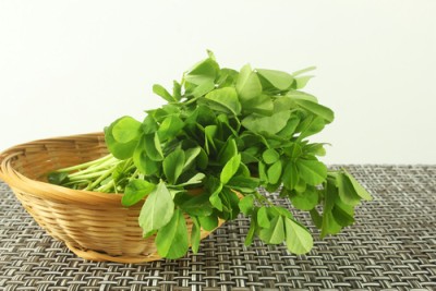 CEZIUS Green Leafy FENUGREEK LEAVES / METHI DESI VEGETABLE-4V Seed(250 per packet)