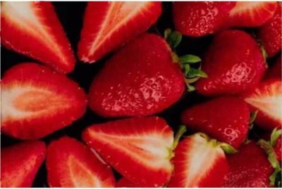 Biosnyg Red Strawberry Seeds for Planting,Rare Non-GMO Fruit 25 Seeds Seed(25 per packet)