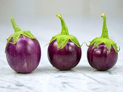 Aywal American Brinjal F1 Hybrid Variety Vegetable Seed(25 g)