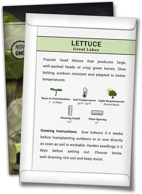 WILLVINE ® Great Lakes Iceburg Lettuce Seeds Seed(5000 per packet)