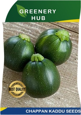 Greenery Hub Chappan Kaddu Seeds – Bountiful Harvest Delight Seed(1 per packet)