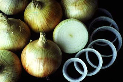 VibeX LX-30 - Texas Super Sweet (Slicing) Onion - (1500 Seeds) Seed(1500 per packet)