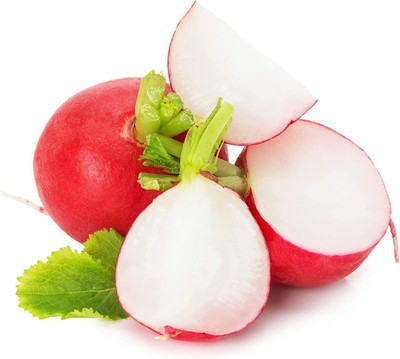 CYBEXIS XLR-6 - Cherry Belle Radish - (2250 Seeds) Seed(2250 per packet)