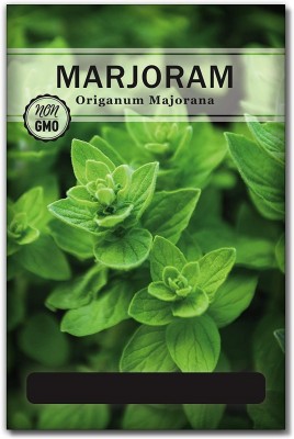 Biosnyg QAN-42 Marjoram Seeds-[200 Seeds] Seed(200 per packet)