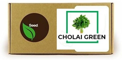 CYBEXIS Cholai Green2800 Seeds Seed(2800 per packet)