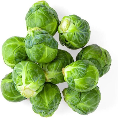 WILLVINE KGF -II Long Island Improved Brussels Sprout [5g] Seed(1500 per packet)