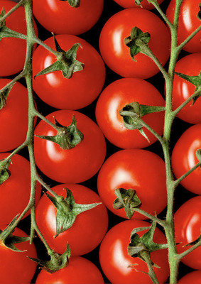 XOLDA Tomato Seed(20 per packet)