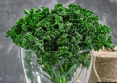 Qualtivate XL-167 Herb Curly-Leaf Parsley Paramount Green Seed(500 per packet)