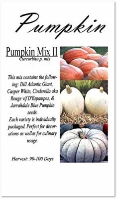 Qualtivate RES-9A Pumpkin Mix II Seeds Seed(50 per packet)