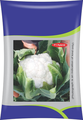 Qualtivate HUA-8A Cauliflower Hybrid Seeds Seed(300 per packet)