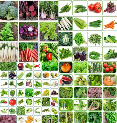 ibains Quick home garden combo vegetable seeds biij 202 Seed(202 per packet)