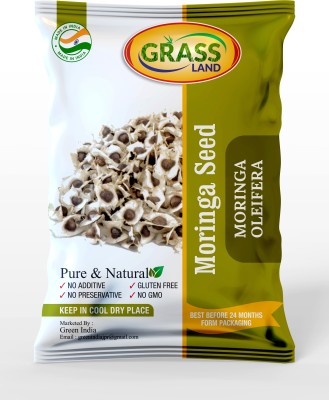 grassland Moringa PKM1 Hybrid (Drumstick Seed) Seed(150 per packet)