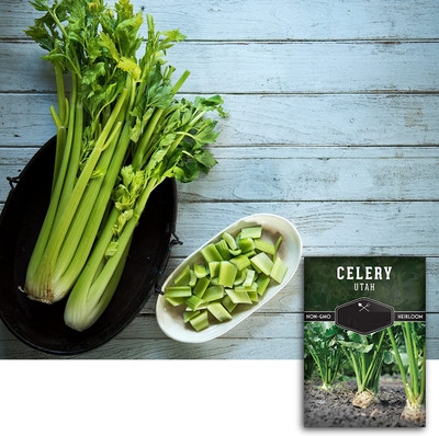 VibeX XLL-86 - Celery Utah Tall - (250 Seeds) Seed(250 per packet)
