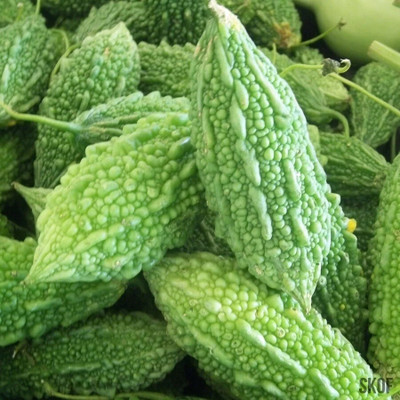 Pbevergreen bitter gourd Seed(12 per packet)