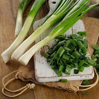 WILLVINE SCI -II Bunching Onion Tokyo Long Seeds [100g] Seed(300 per packet)