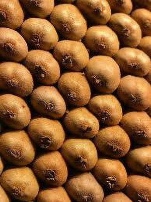XOLDAA KIWI FRUIT SEEDS HYBRID F1 QUALITY Seed(154 per packet)