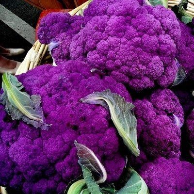 CYBEXIS Violetta Italia Cauliflower Variety500 Seeds Seed(500 per packet)