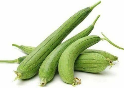 CYBEXIS KGF -88 - Extra Long Smooth Sponge Gourd - (300 Seeds) Seed(300 per packet)