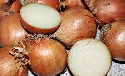 WATIKA Sweet Yellow Onion Seed(2000 per packet)