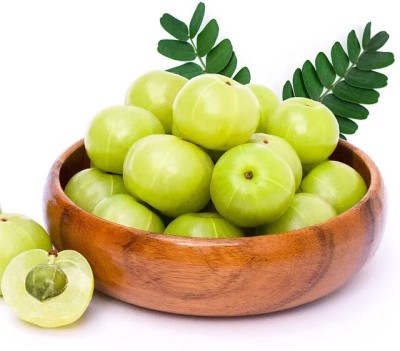 GREENSEA Amla, Gooseberry, Amloki Seed(41 per packet)