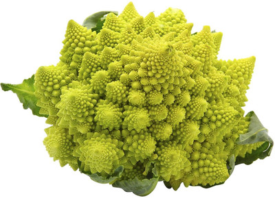 WILLVINE SYN -II Pagoda Green Cauliflower [100g, 30000 Seeds] Seed(30000 per packet)