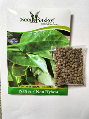 seedbasket Bachali, Malabar Spinach Seed(10 g)