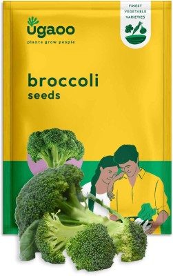 UGAOO Broccoli Vegetable Seed(1 g)