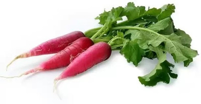 MAA Radish Red, Muli Seed(143 per packet)