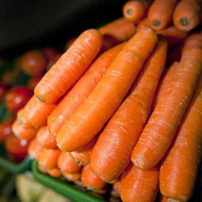 CYBEXIS Lovely Orange Carrot Seeds2000 Seeds Seed(2000 per packet)