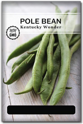 WILLVINE ® Kentucky Wonder Pole Bean Seeds Seed(5000 per packet)