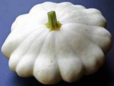 VibeX ® XXL-292 White Patty Pan Squash Scallop Zucchini Seed(100 per packet)