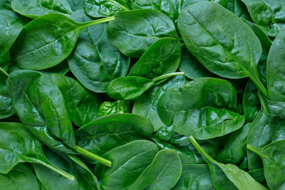 Quentova Palak/Spinach Vegetables-VXI-22O Seed(250 per packet)